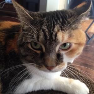 Meet your Posher, Debbie